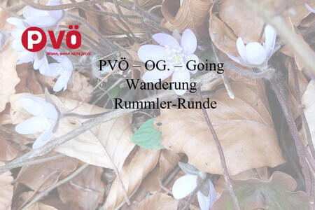 Going  PVÖ Wanderung Rummler Runde 2024 Bild 0