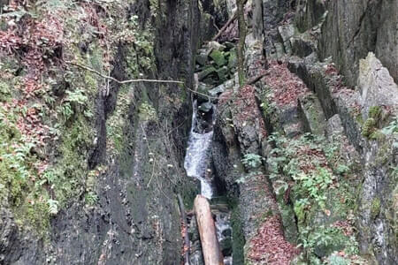 Schmugglerweg- Klobenstein -PVÖ Going Bild 2