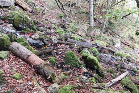 Schmugglerweg- Klobenstein -PVÖ Going Bild 21