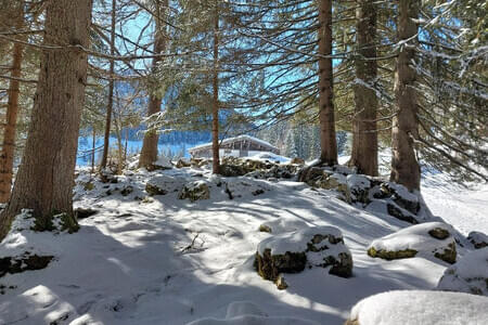 Winterwanderung Reith in Winkl OG Going 17.2.25 Bild 8